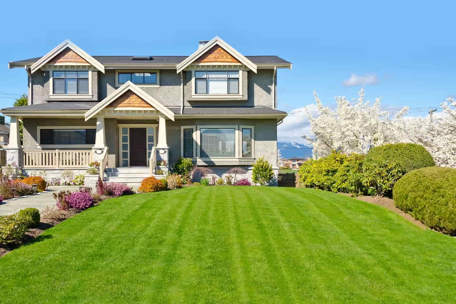 Landscaping background